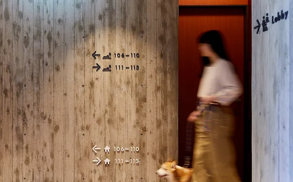 導視系統(tǒng)設(shè)計作品案例展示