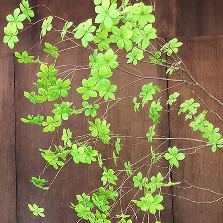 度假村景區(qū)作品案例展示