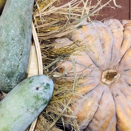 主題商場作品案例展示