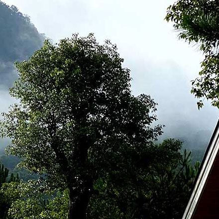 文旅小鎮(zhèn)作品案例展示